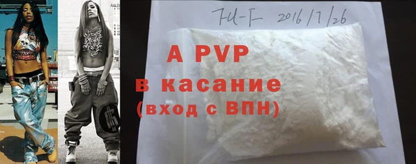 стафф Аркадак