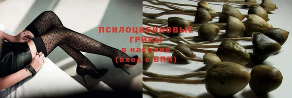 гашик Арсеньев