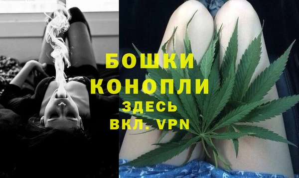 стафф Аркадак
