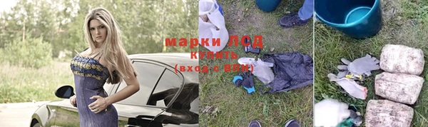 гашик Арсеньев