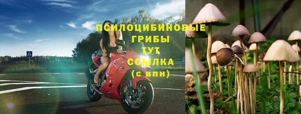 гашик Арсеньев