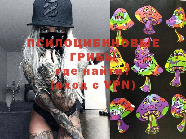 стафф Аркадак
