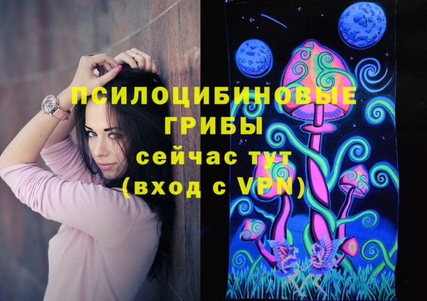 винт Армянск
