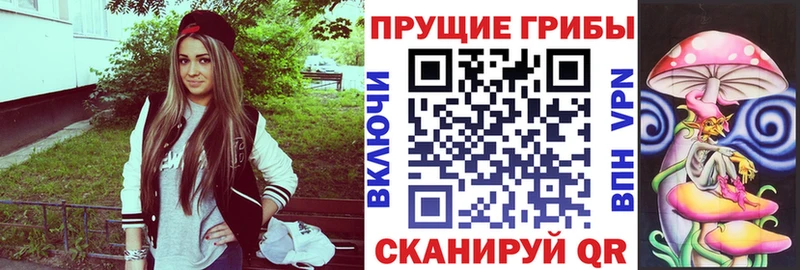 закладка  Приозерск  Галлюциногенные грибы мухоморы 