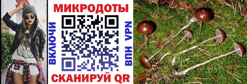 Галлюциногенные грибы ЛСД Приозерск